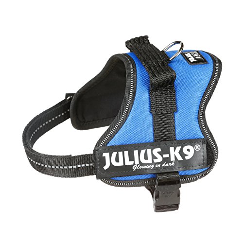 Julius-K9 Mini-Mini, 40-53 cm, Azul