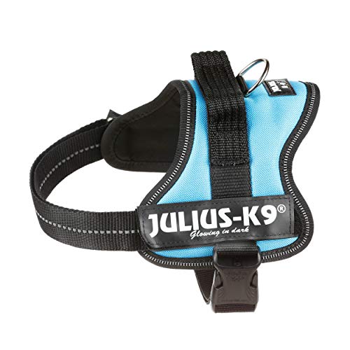 Julius-K9 PowerHarness para perros, color aguamarina, talla Mini