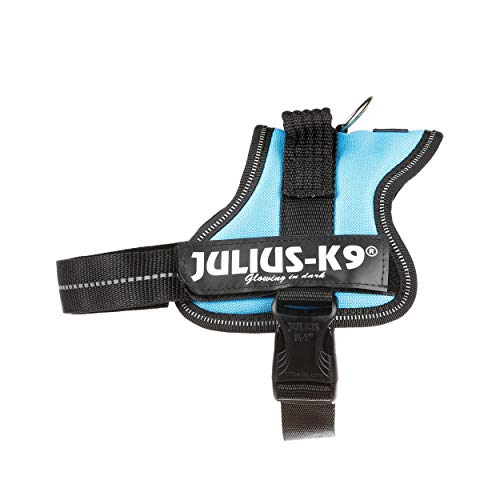 Julius-K9 PowerHarness para perros, color aguamarina, talla Mini