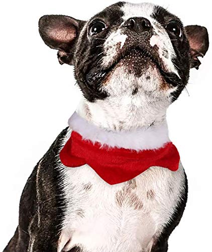 JX Pañuelo de babero de encaje para mascotas, collar de perro rojo de gato navideño Bufanda de cumpleaños de perrito lindo Decoración de pañuelo de algodón,Pequeña