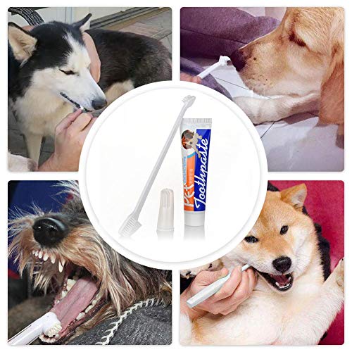 Kit de cuidado dental para perros Pasta de dientes para perros con juego de cepillos de dientes Suciedad y mal aliento Eliminación de los productos de limpieza bucal Mejora la higiene bucal Previene