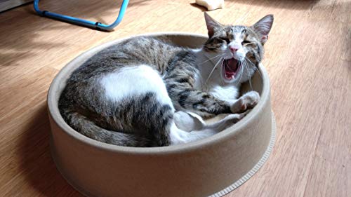 KittyDoo Comfycat Cama Gato, Redondas, Forma Gatos, Fácil de Limpiar y Cama para Gatos Resistente a Los Arañazos (1 Gato Cama)
