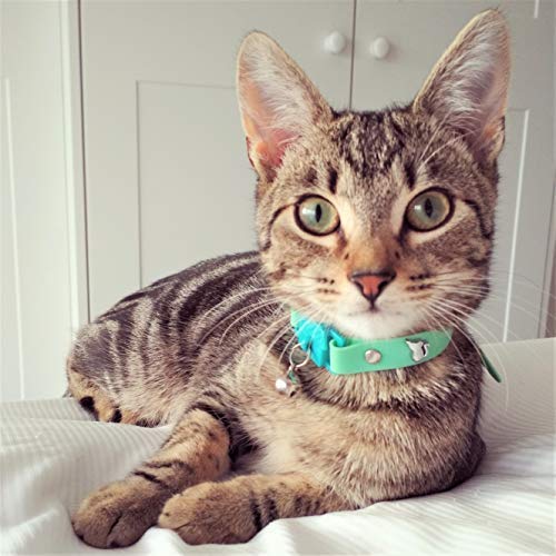 Kittyrama Visto en Vogue. Collar para Gato Meadow Galardonado 'Cat Friendly'