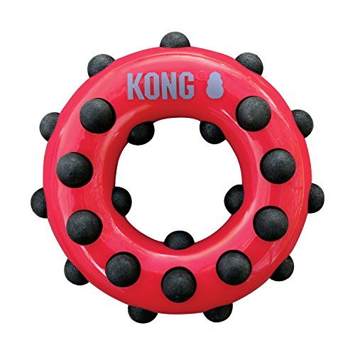 KONG - Dotz Circle - Juguete mordedor para perros, ideal para jugar - Raza grande