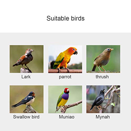 Kylewo Casita de pájaros de Madera, Caja de pájaros de Madera para Caja de Madera para Mascotas