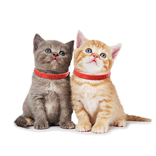 Kylewo Collar de garrapatas para Perros y Gatos Collar de garrapatas Collar de prevención de pulgas y garrapatas, 8 Meses de protección: Ajustable para Mascotas pequeñas y Medianas