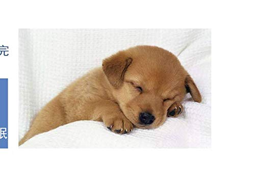 La venta de alimentos para mascotas de la perrera del verano Liangdian almohadilla de refrigeración transpirable resistente a la mordedura de perro mascota lavables estera de la cama,azul,código S,...