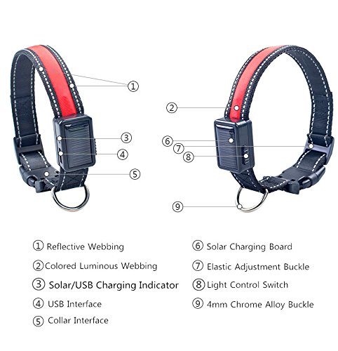 LaiXin Collar de Perro led Recargable, Nylon Collar de Seguridad para Perros Ajustable Impermeable Recargable por Cable USB y Solar para Grandes Perros, Amarillo, L