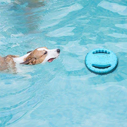 Legendog Flying Disc Toy, Soft Floating Dog Catcher Toy Toy Toy para Entrenamiento de Mascotas Masticación