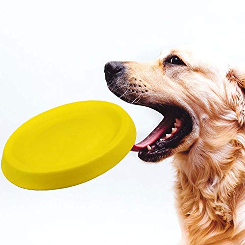 LIPETLI Juguete de Frisbee EVA Sports Frisbee para Perros es Ecológico y no es Tóxico para Perros Grandes y Medianos