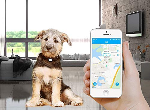 Localizador De Localizador De Localización De Mascotas GPS Localizador De Localización De Mascotas A Prueba De Agua Seguimiento De Perros Y Gatos con La Aplicación Gratuita iOS/Android