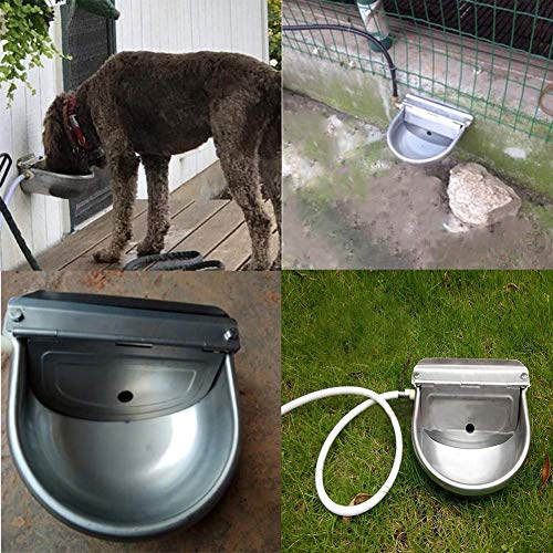Lucky Farm - Bebedero automático para beber agua de ganado con válvula de flotador para perros, 3 en 1, de acero inoxidable