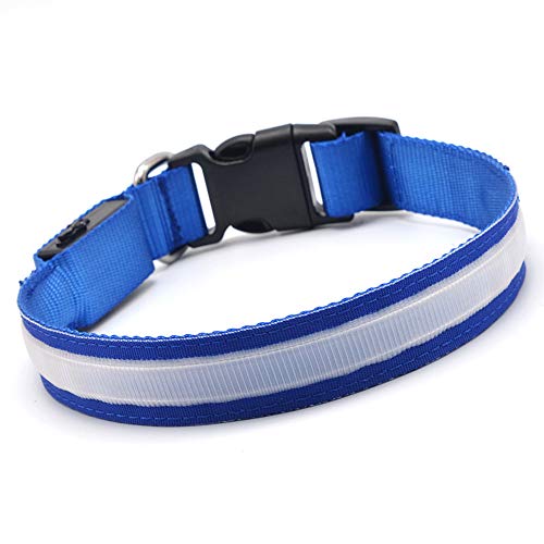 MASBRILL Collar de Perro Recargable de Seguridad LED - Collar Seguro Intermitente para Mascotas - Impermeable