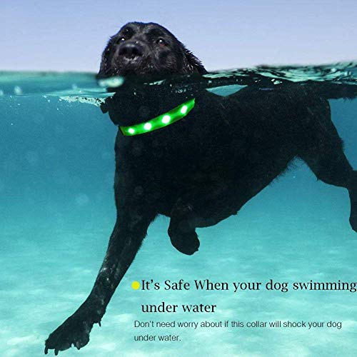 MASBRILL Cuello de Seguridad LED súper Brillante DC Recargable para Perros - excelente Visibilidad y Seguridad - Resistente al Agua