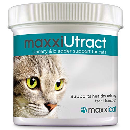 maxxicat - Suplemento Urinario y Vesical para Gatos maxxiUtract - Ayuda a la Salud del Sistema Urinario, al Control de la Vejiga y la Recurrencia de ITU - con Árándanos – En Polvo 60 g