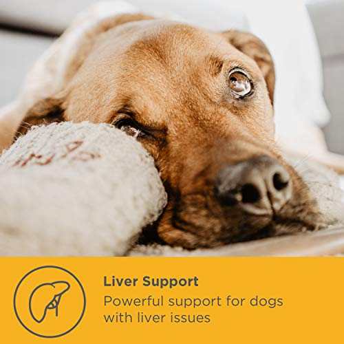 maxxidog - maxxiSAMe - Apoya La Salud del Hígado y La Función Cognitiva en Perros - Sam-e Suplemento para Mascotas - Polvo 150 g - Se Puede Dar con Alimentos