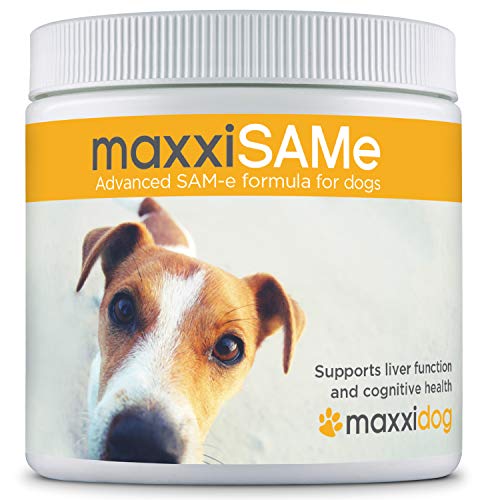 maxxidog - maxxiSAMe - Apoya La Salud del Hígado y La Función Cognitiva en Perros - Sam-e Suplemento para Mascotas - Polvo 150 g - Se Puede Dar con Alimentos