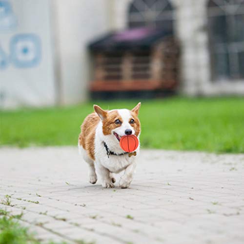 MCYYY 4pcs Pelota de Perro Mascota Pelota de Juguete Juguetes interactivos para Pomerania Chihuahuas Yorkies Husky Dogs Chew Toy Training Productos Juguetes para Perros