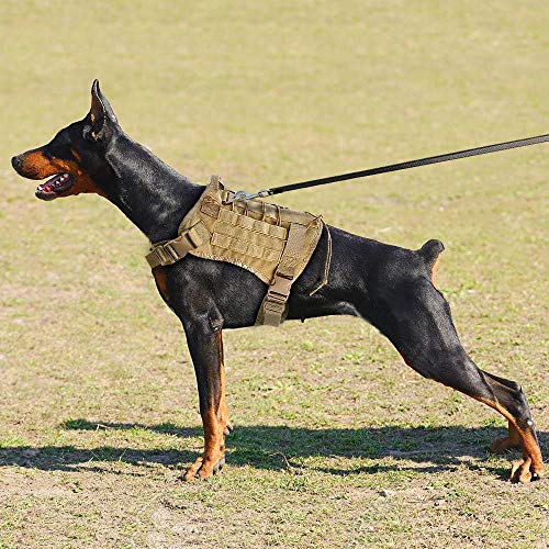MMWW Imbracatura per cani tattica Militare Grande Gilet per cani da compagnia Gilet da lavoro per cani Gilet in Nylon per cani con cordino Elastico per K9 Pastore tedesco-YWL059GREEN_L