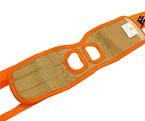 Morezi CareLift Rear-Only Lifting Harness, Dog Lifting Harness for Rear Legs 0435 - Orange - M