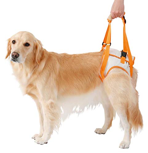 Morezi CareLift Rear-Only Lifting Harness, Dog Lifting Harness for Rear Legs 0435 - Orange - M