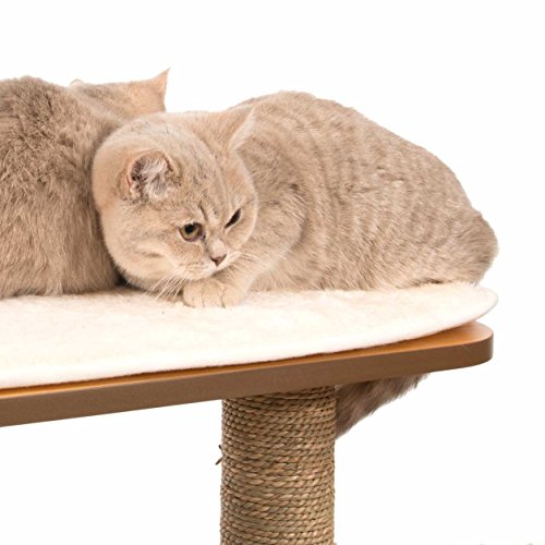 Mueble Rascador para Gatos