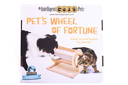 My Intelligent Cats Cat Wheel of Fortune Juguete Interactivo para Gatos - Actividad apropiada para Cada Especie Que promueve los instintos Naturales.