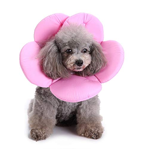 MYYXGS Collar para Mascotas Collar Elizabeth Collar para Mascotas Collar Protector para el Cuello Flor Proteger Collar Suministros para Mascotas