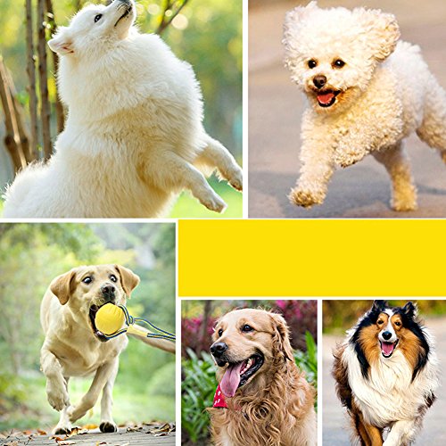 NaiCasy 1 PCS irrompibles Bolas de EVA sólida Cadena de Juguetes para Mascotas Adiestramiento de Perros Chew Bola de Jugar a la Pelota morder Juguetes Amarillos y Accesorios para Perros
