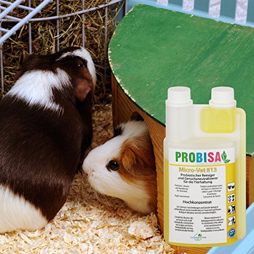 Neutralizadores de olor spray (Probisa Micro-Vet 813) de la orina del gato, perro y los roedores olores - y bio limpiador concentrado 500ml rendimiento 25 litros listos para usar asesino de olor / Removedor de olor