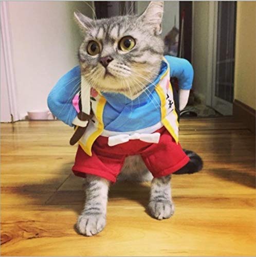 NIEFENG Perro Sudaderas Traje Divertido del Gato Traje Uniforme Ropa del Gato del Perrito del Traje Ropa Vestirse Juego del Partido Ropa de Cat Cosplay Ropa, Tamaño: XL (Color : Samurai Knife)