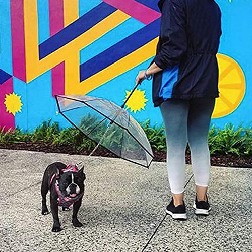 Nordira - Paraguas Plegable para Mascotas, con Correa de Cuerda, para Perros pequeños, medianos y Grandes