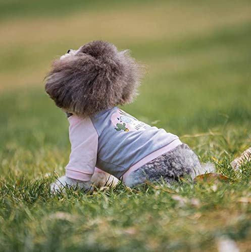 Nueva Primavera y Verano Ropa para Mascotas Ropa para Perros Camiseta de algodón Venta al por Mayor Estampado Lindo,1,M