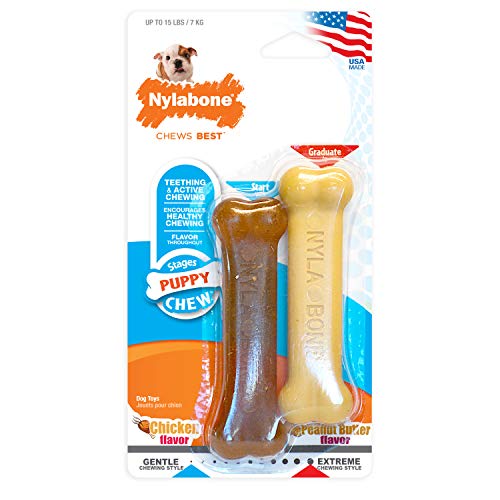 Nylabone (2 Unidades Petite Dental para Perro, Pollo/de Mantequilla de Cacahuete, Extra pequeño
