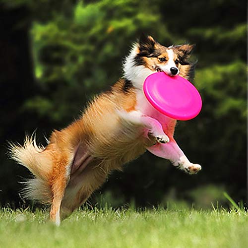 OPORA Disco Entrenamiento Juguete para Perros (5 Piezas) Juguete para Que El Perro Vaya A Buscar Al Aire Libre, Frisbee Flotando,Orange,(5Pieces)