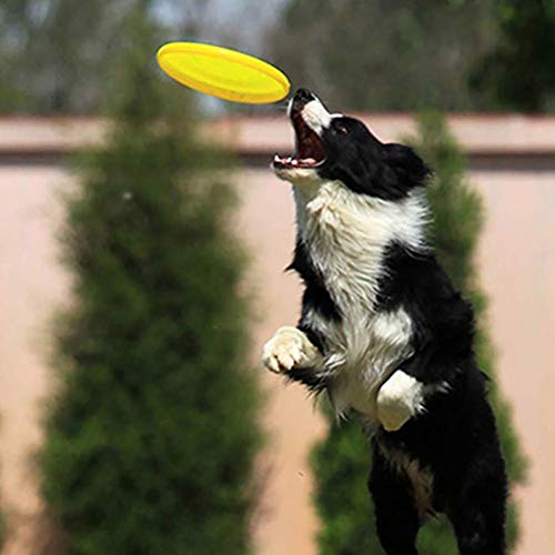 OPORA Frisbee para Perros Blando, Juguetes para Perros Pequeños Medianos Cachorros, Juguete para Perros De Diseño Aerodinámico (5 Piezas, Color Al Azar),Random,20cm