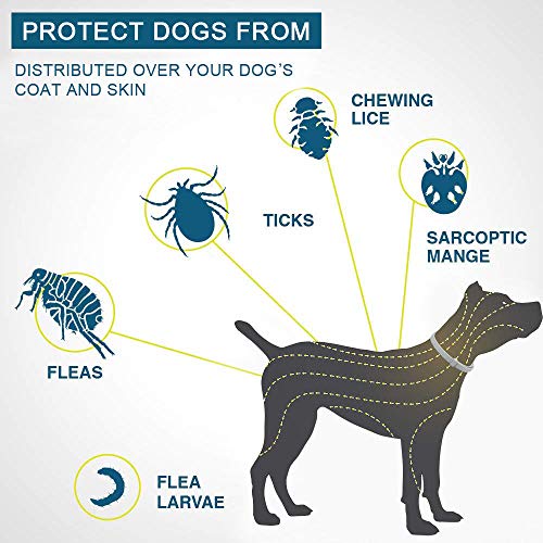 OPUSS Collar para Mascotas Recomendado por Veterinarios para pulgas y garrapatas, protección al Aire Libre, Tratamiento eficaz contra pulgas