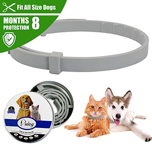 OPUSS Collar para Mascotas Recomendado por Veterinarios para pulgas y garrapatas, protección al Aire Libre, Tratamiento eficaz contra pulgas