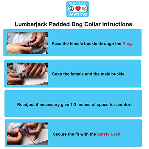 Pawtitas Collar Reflectante para Perro Ideal para el adiestramiento de tu Cachorro | Collar para Perro Ajustable, Reflectante y acolchonado - Collar Mediano Color Rosa