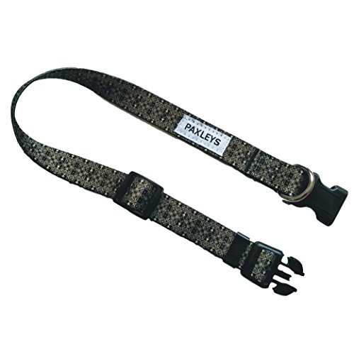 Paxleys - Collar ajustable para perro (tamaño mediano y grande), color negro y dorado