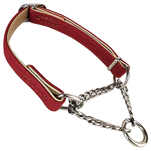 Penivo Mascotas Collar de Cadena Ajustable de Acero Inoxidable Martingale Choker Leather Training Collares de Perro para Perros pequeños, medianos y Grandes(M (33cm-47cm), Rojo)