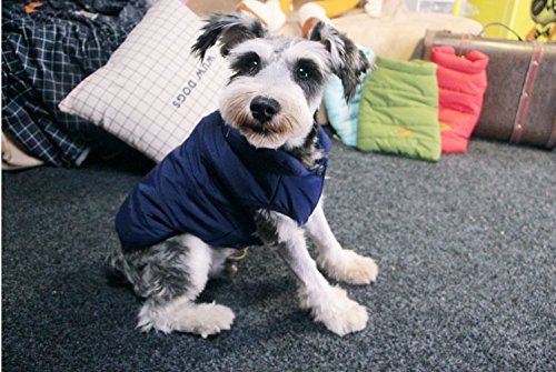PENIVO Ropa de perro Abrigos y chaquetas abrigados de invierno, Chaleco de perro cachorro Ropa para perros pequeños medianos Perros Ropa de plumas (Azul, XXL)