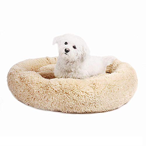 PENVEAT Cama de Perro Redonda para Perro Gato Invierno cálido Tumbona para Dormir Mat Puppy Kennel Pet Bed Bed Lavable a máquina, Naranja Claro, 70 cm de diámetro