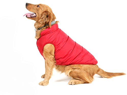 PENVO Ropa para Perros de Mascotas, Abrigos y Chaquetas Impermeables de Invierno para Perros pequeños y medianos Grandes Chaleco de Perro Cachorro Traje de suéter (Rojo, M)