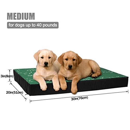 Personalized Dog Bed Chemistry Science Formula Big Dog Mat Medium Size Dog Bed Waterproof 76 X 51 X8cm with Zipper Removable Cover For Dogs & Cats
