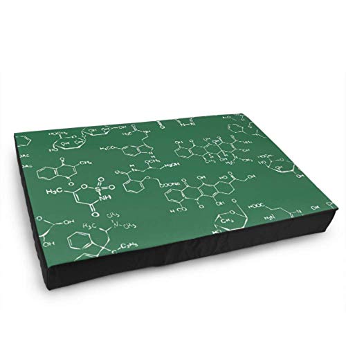 Personalized Dog Bed Chemistry Science Formula Big Dog Mat Medium Size Dog Bed Waterproof 76 X 51 X8cm with Zipper Removable Cover For Dogs & Cats