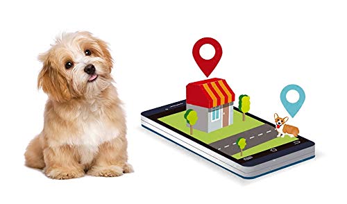 Pet Localizador GPS + Lbs Posicionamiento Gato Perro Prevenir Pérdida Alta Precisión Pet Collar, Negro