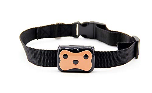 Pet Localizador GPS + Lbs Posicionamiento Gato Perro Prevenir Pérdida Alta Precisión Pet Collar, Negro