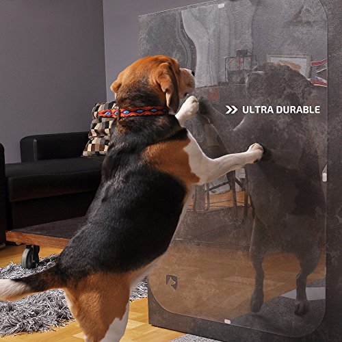 PETFECT - Protector de Puerta para Perro para Interior y Exterior, Transparente (90x40 cm)