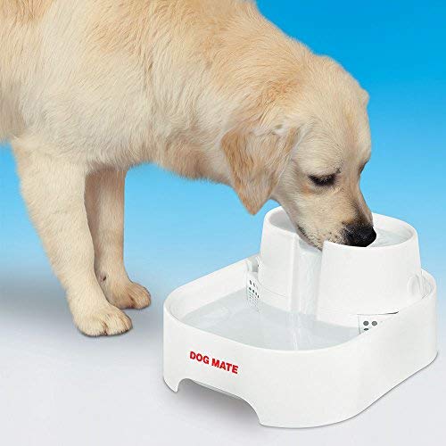 Petmate Dog Mate - Fuente Grande para Beber Agua Dulce para Perros y Gatos